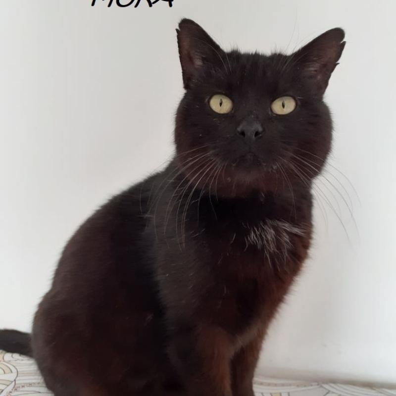 Photo de Moka