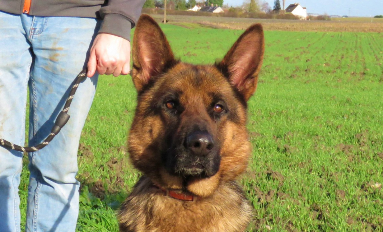 Photo #1 de Djesi dit ledi