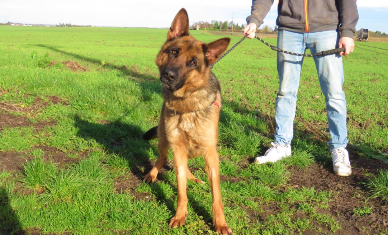 Photo #2 de Djesi dit ledi