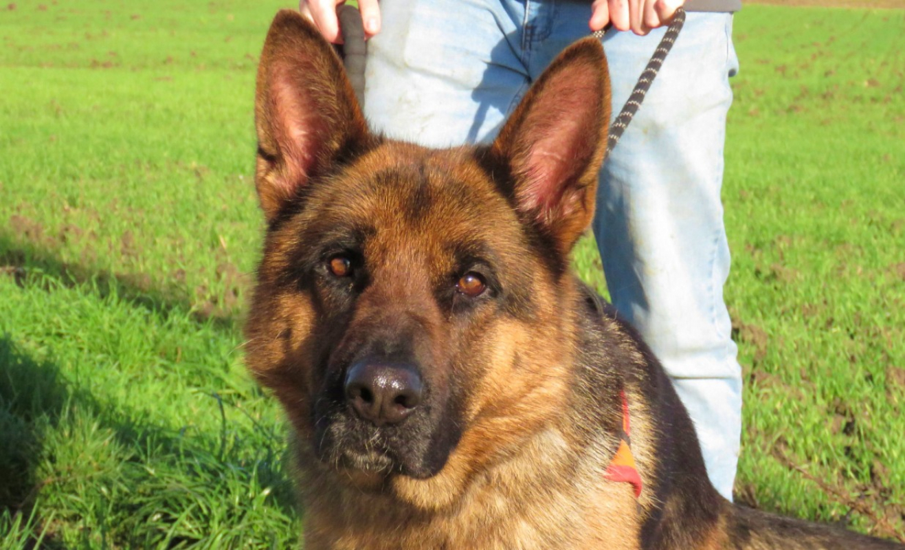 Photo #5 de Djesi dit ledi