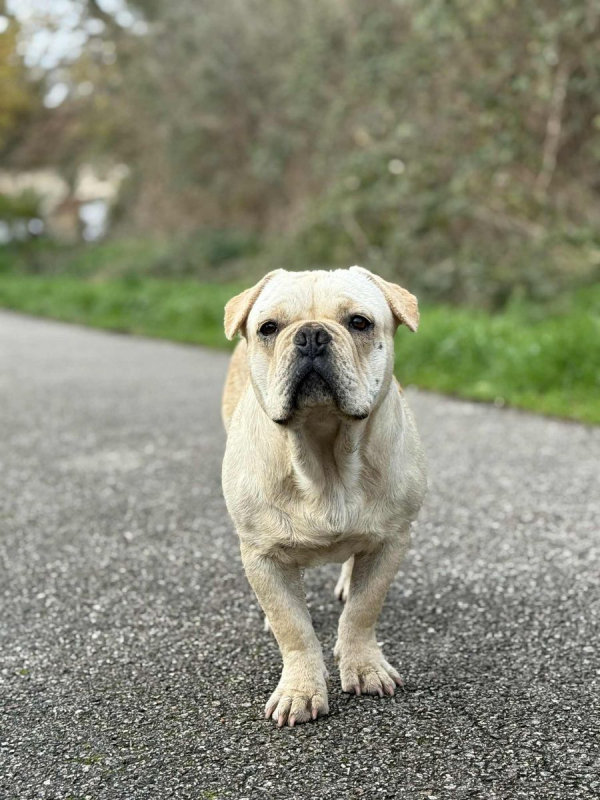 Photo #1 de Augustin