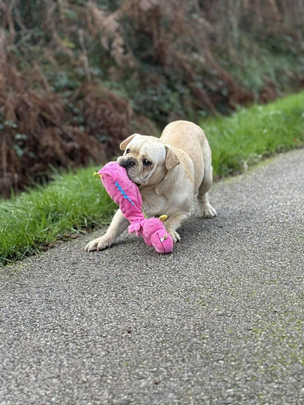 Photo #2 de Augustin