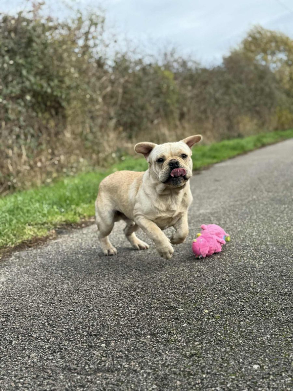 Photo #3 de Augustin