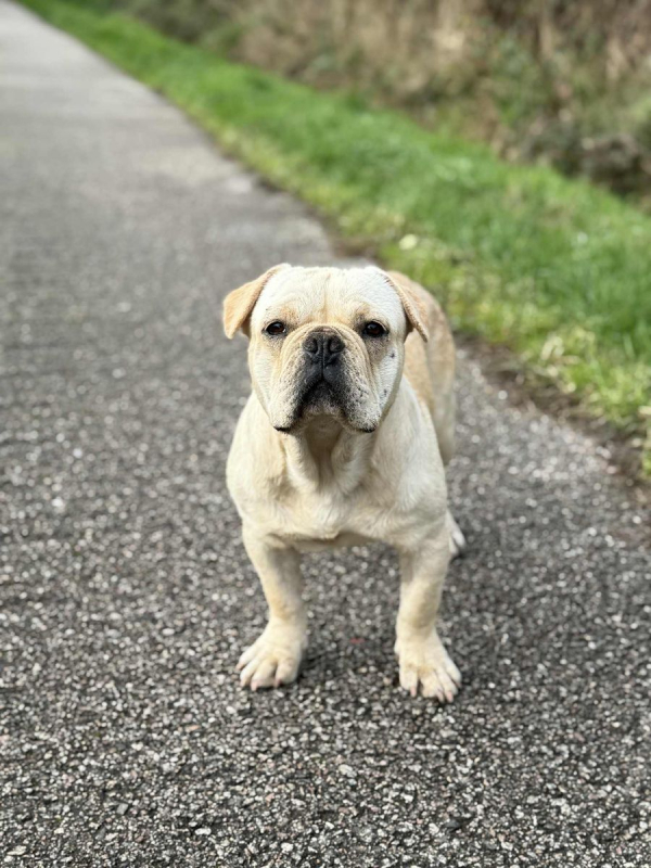 Photo #4 de Augustin