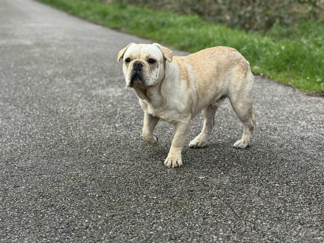 Photo #5 de Augustin