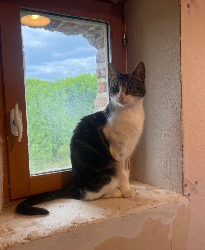 Photo #1 de Violetta