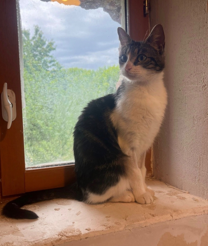 Photo #3 de Violetta