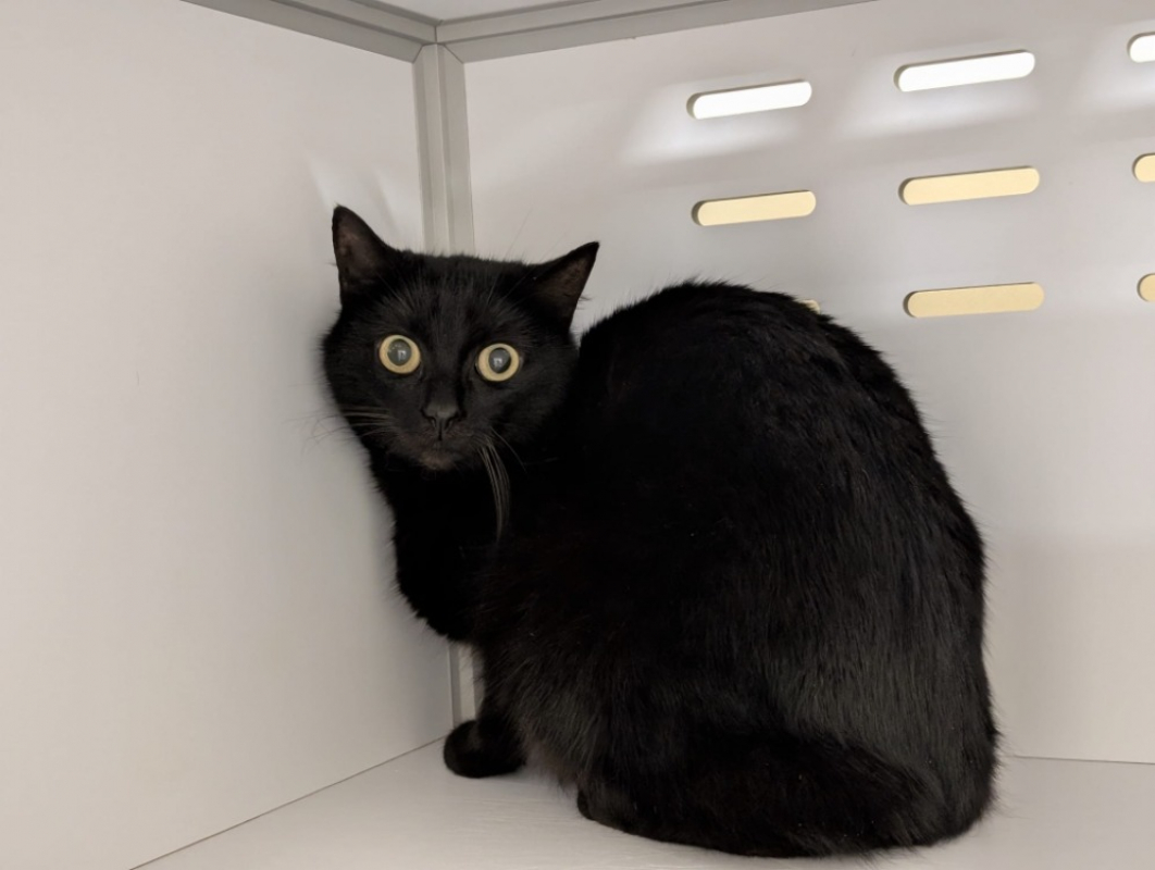 Photo #1 de Hermione