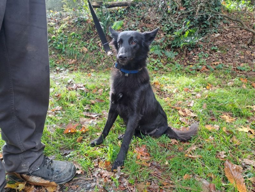 Photo #1 de Réservé ficelle