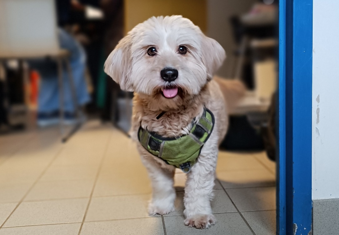 Photo #3 de Nounours