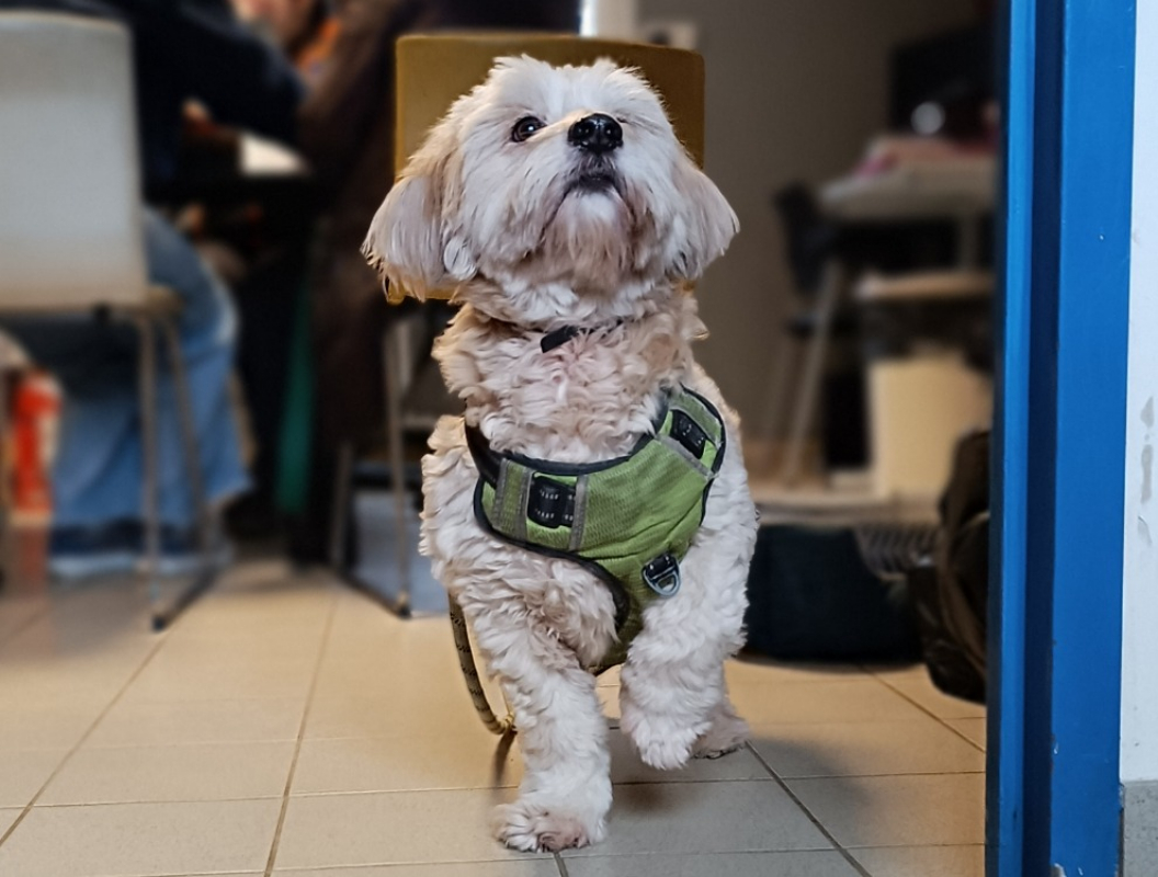 Photo #4 de Nounours