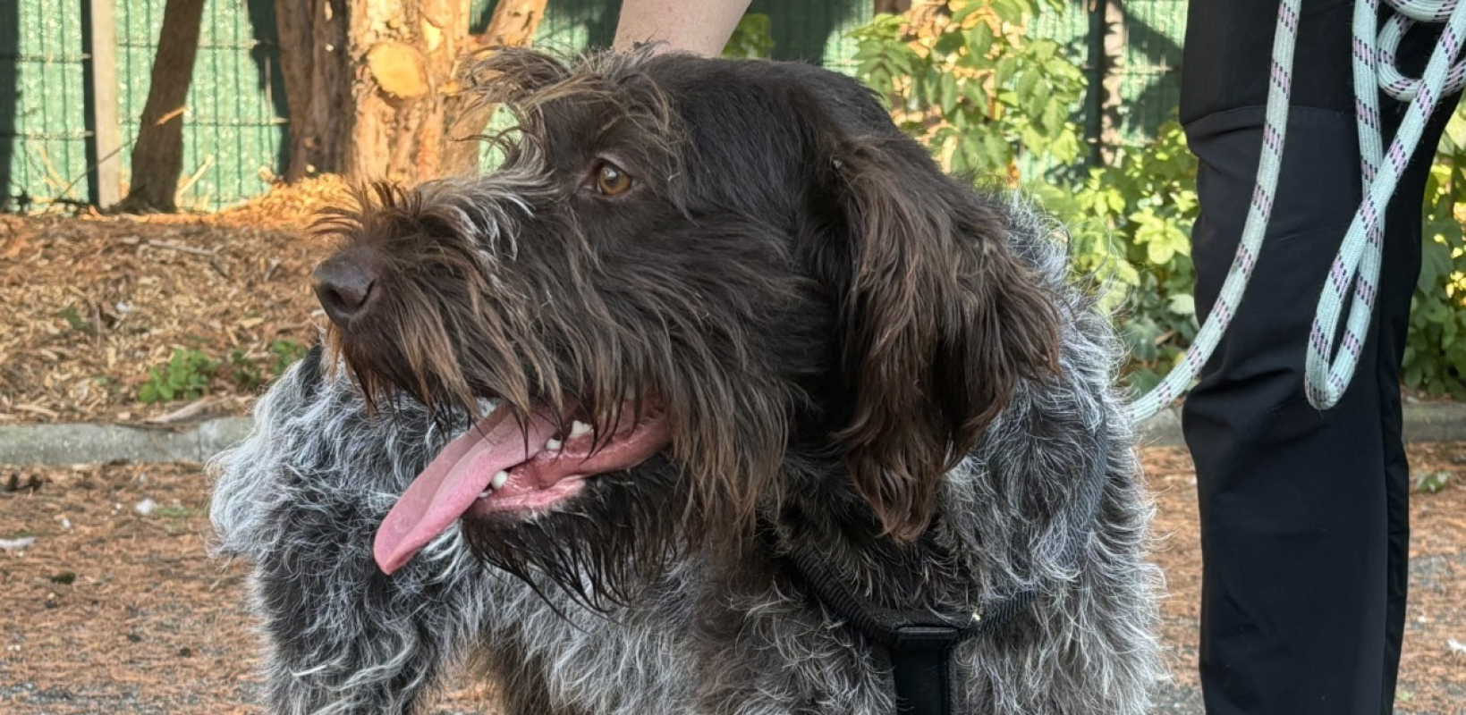 Photo #3 de Potassium