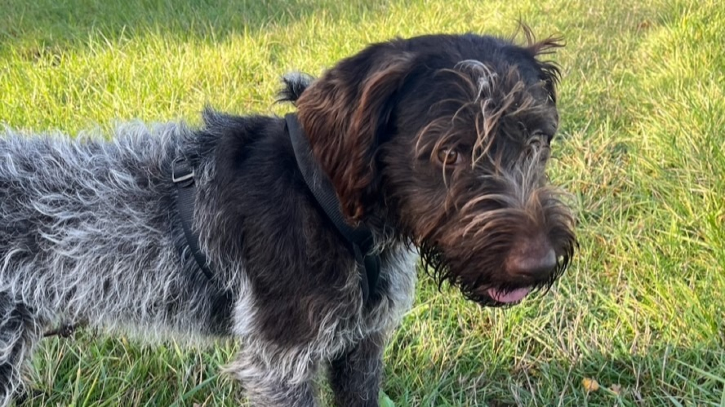 Photo #4 de Potassium