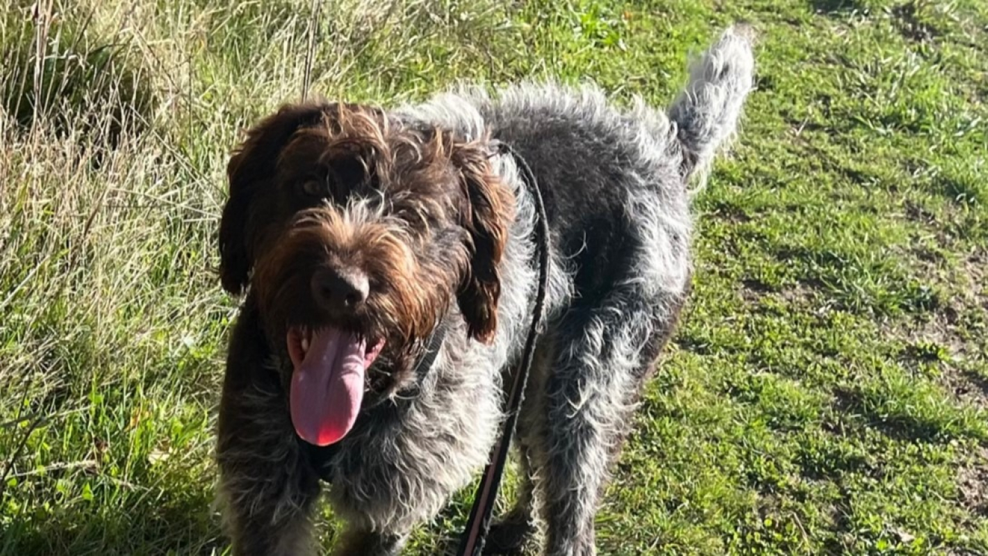 Photo #5 de Potassium