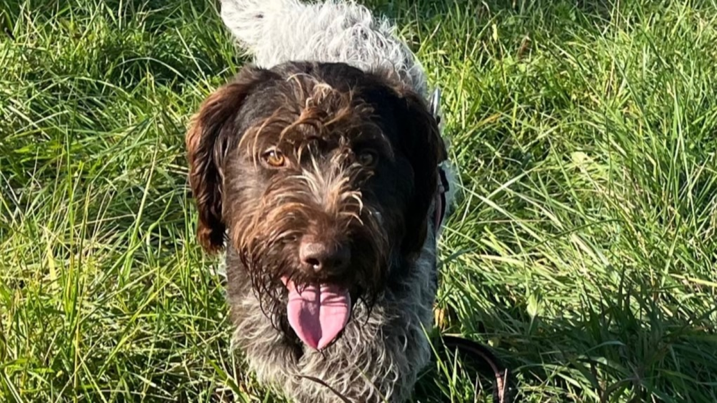 Photo #7 de Potassium