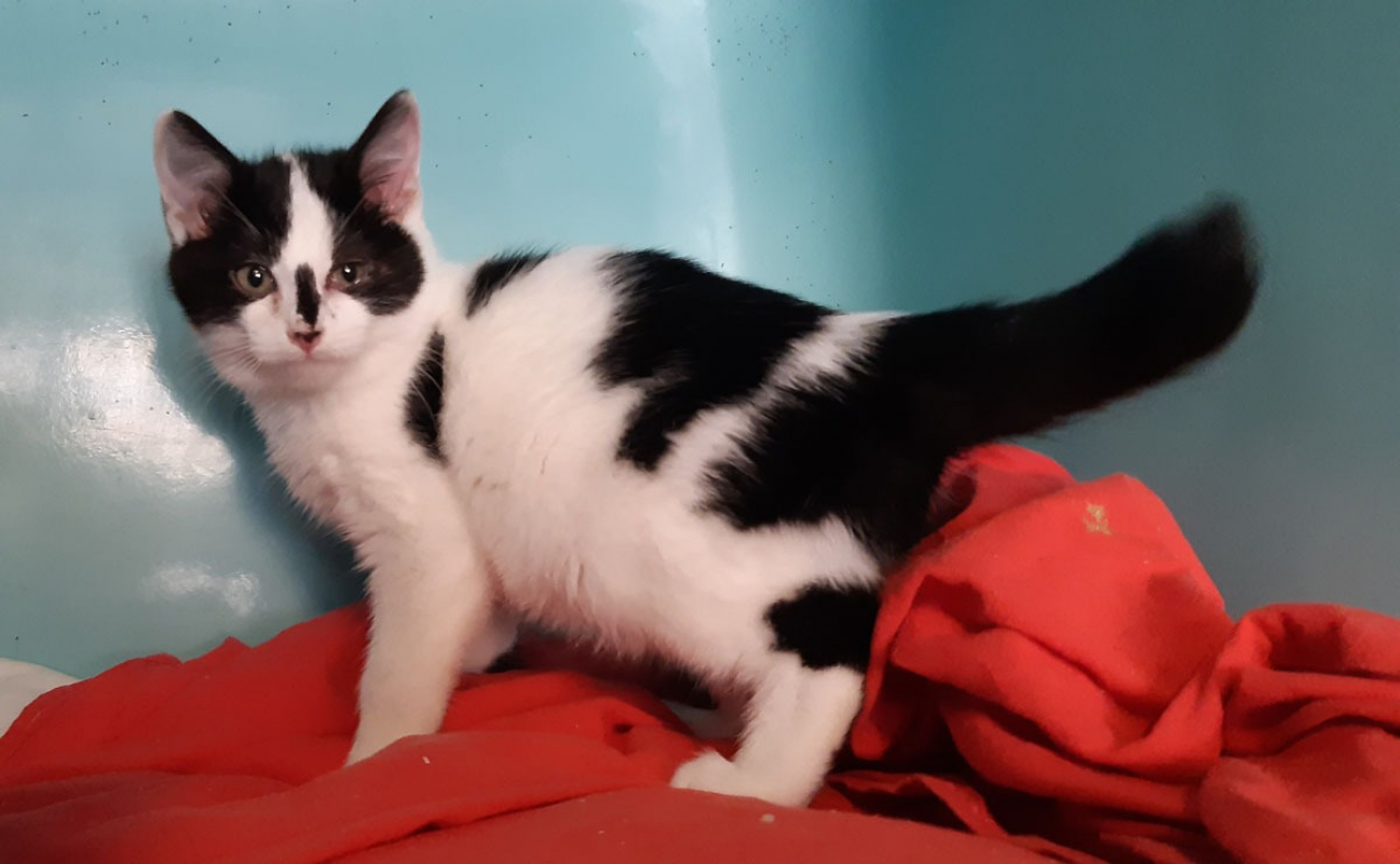 Photo #3 de Mustucru