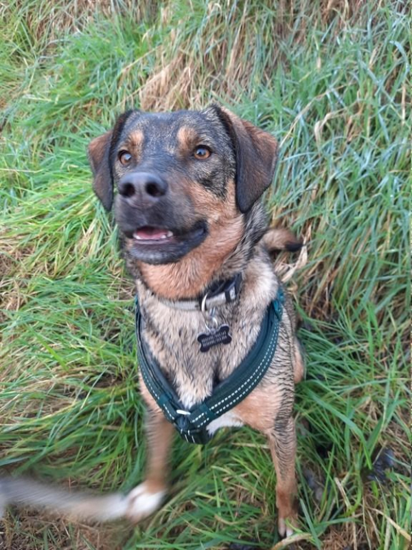 Photo #1 de Guinness