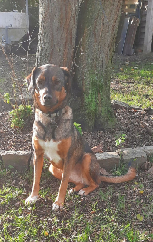 Photo #2 de Guinness