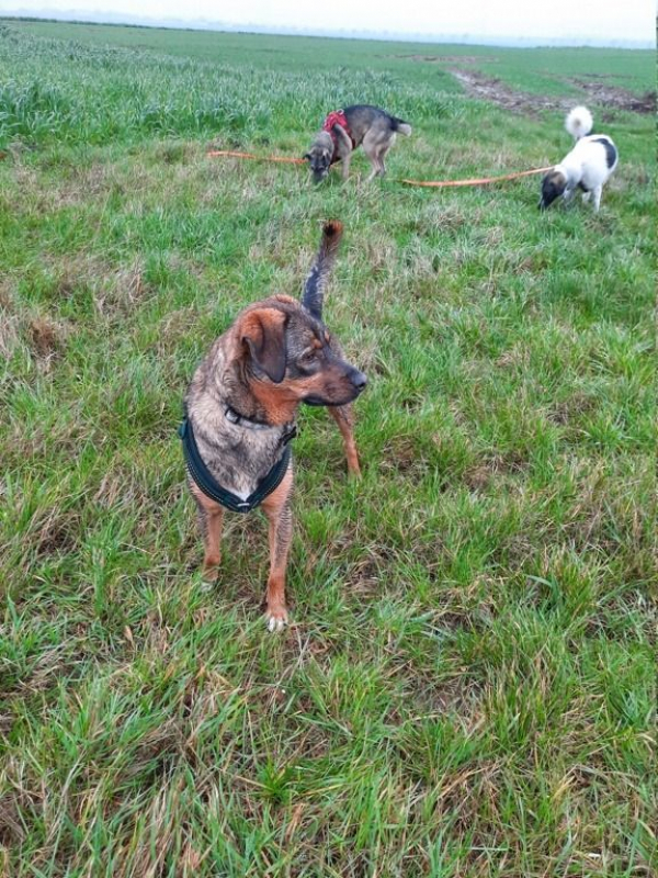 Photo #3 de Guinness