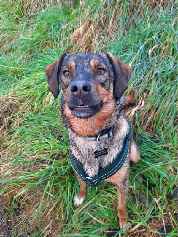 Photo #4 de Guinness