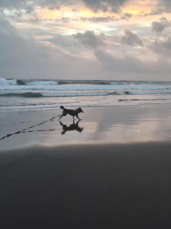 Photo #10 de SHADOW