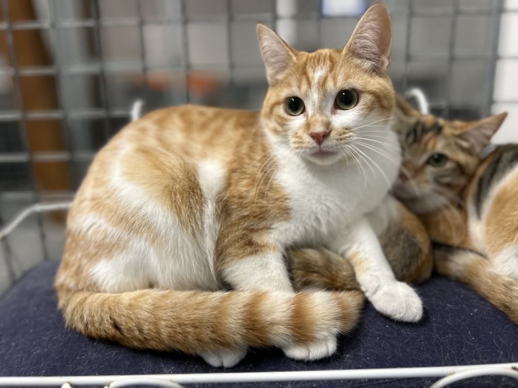 Photo #1 de Wednesday