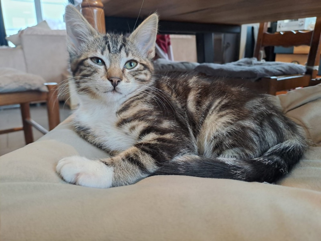 Photo #1 de Masha réservé