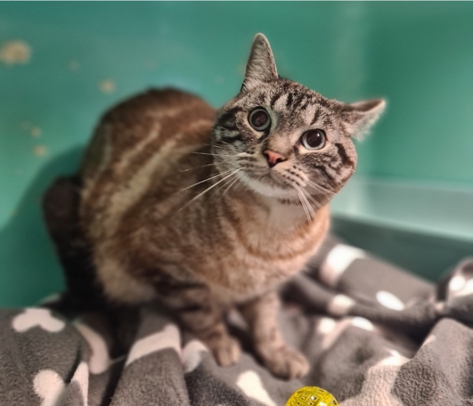 Photo #1 de Snow réservé