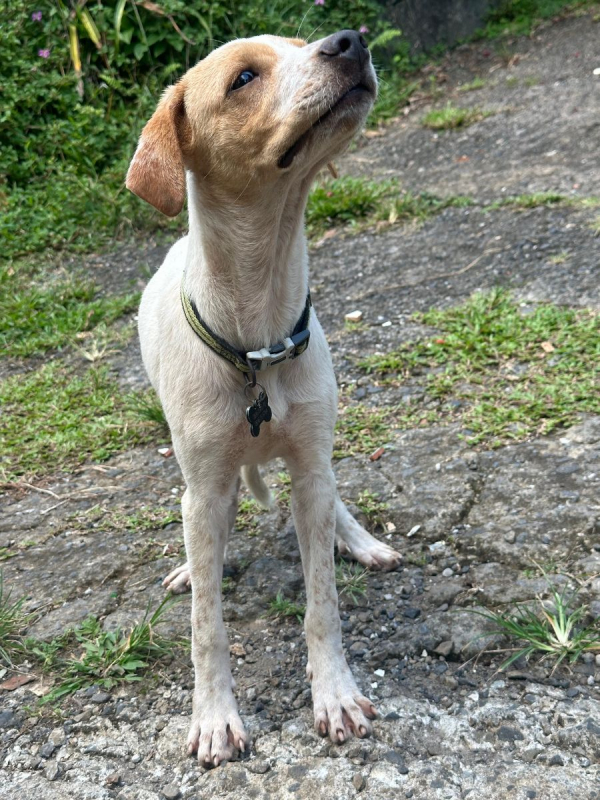 Photo #6 de Encorune