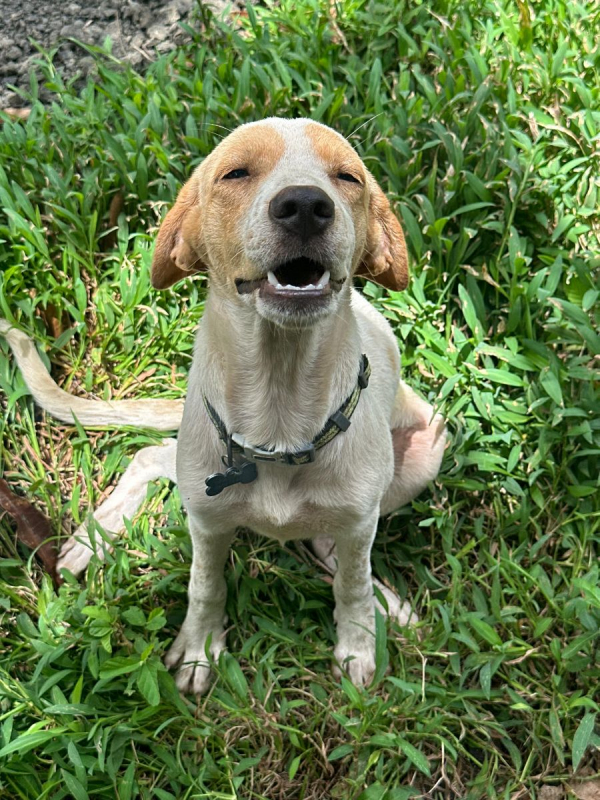 Photo #3 de Encorune