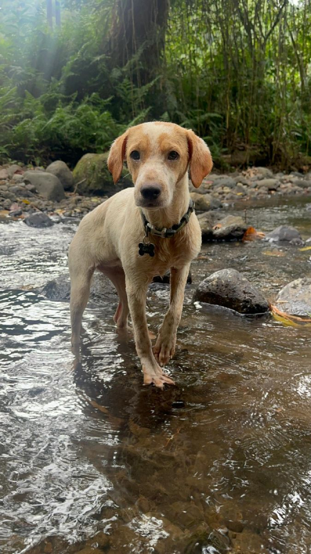 Photo #4 de Encorune