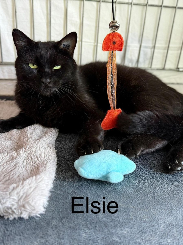 Photo #4 de ELSIE