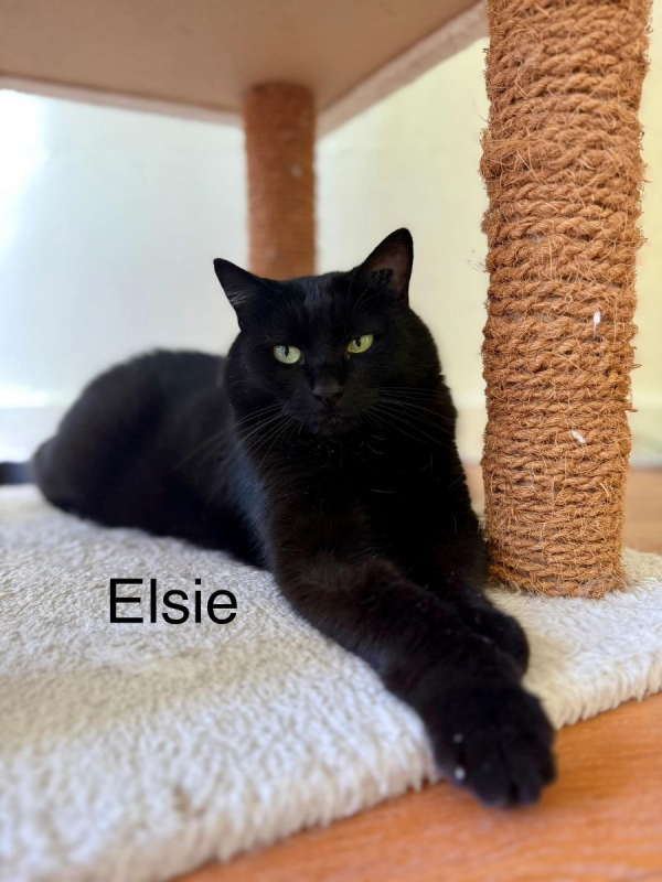 Photo #5 de ELSIE