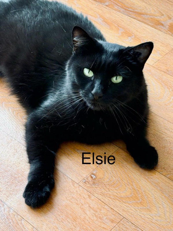 Photo #7 de ELSIE