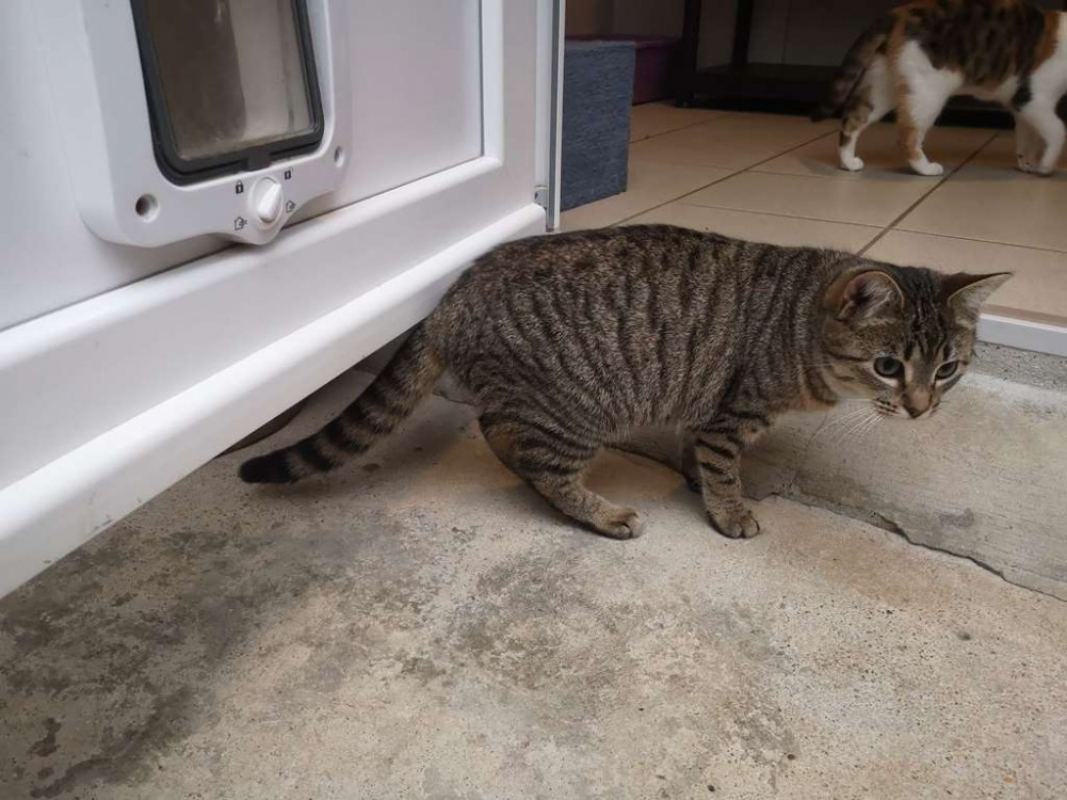 Photo #2 de Réservé anis