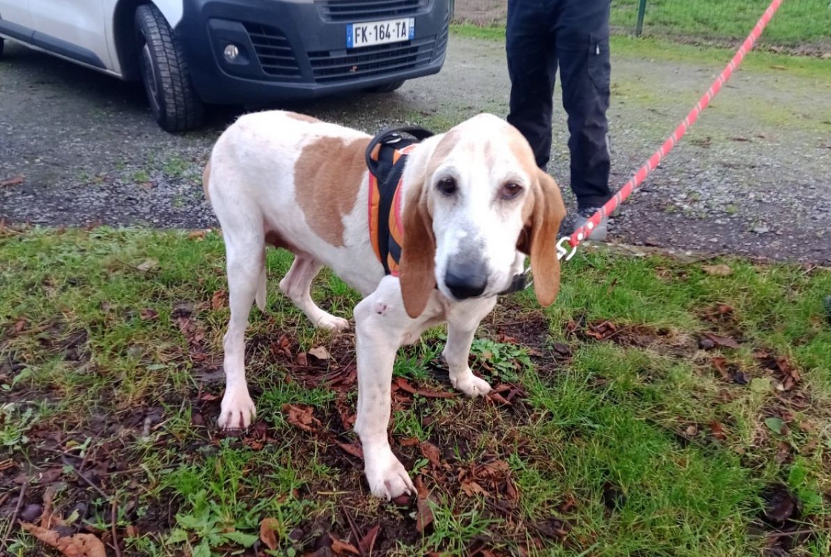 Photo #4 de Estrella