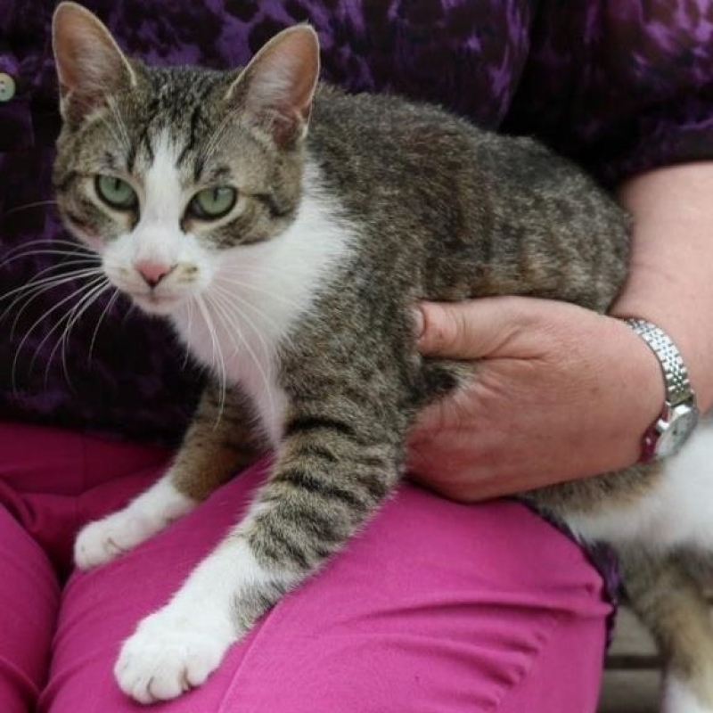 Photo de Bagley et Babs