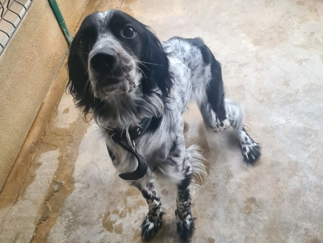 Photo de Vadrouille reservé