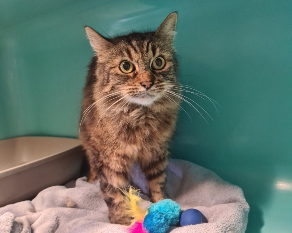 Photo de Catrina reservé