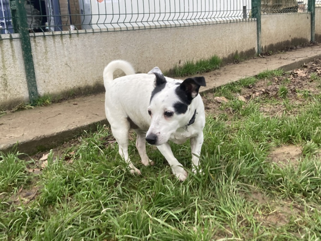 Photo #7 de Orchid réservé