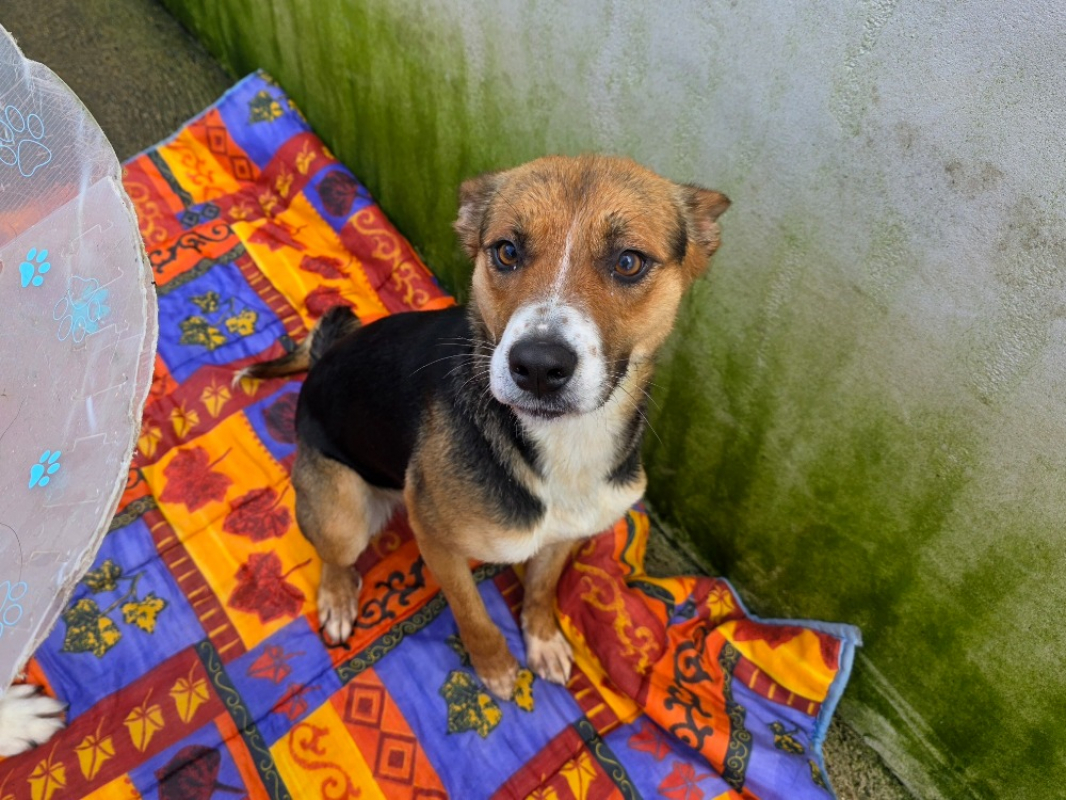 Photo #4 de Dora l'exploratrice