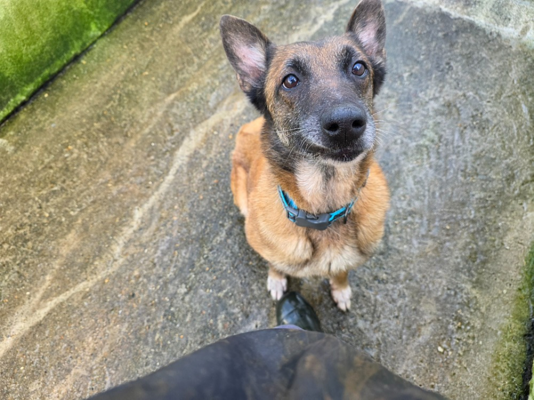 Photo #1 de Lola bunny