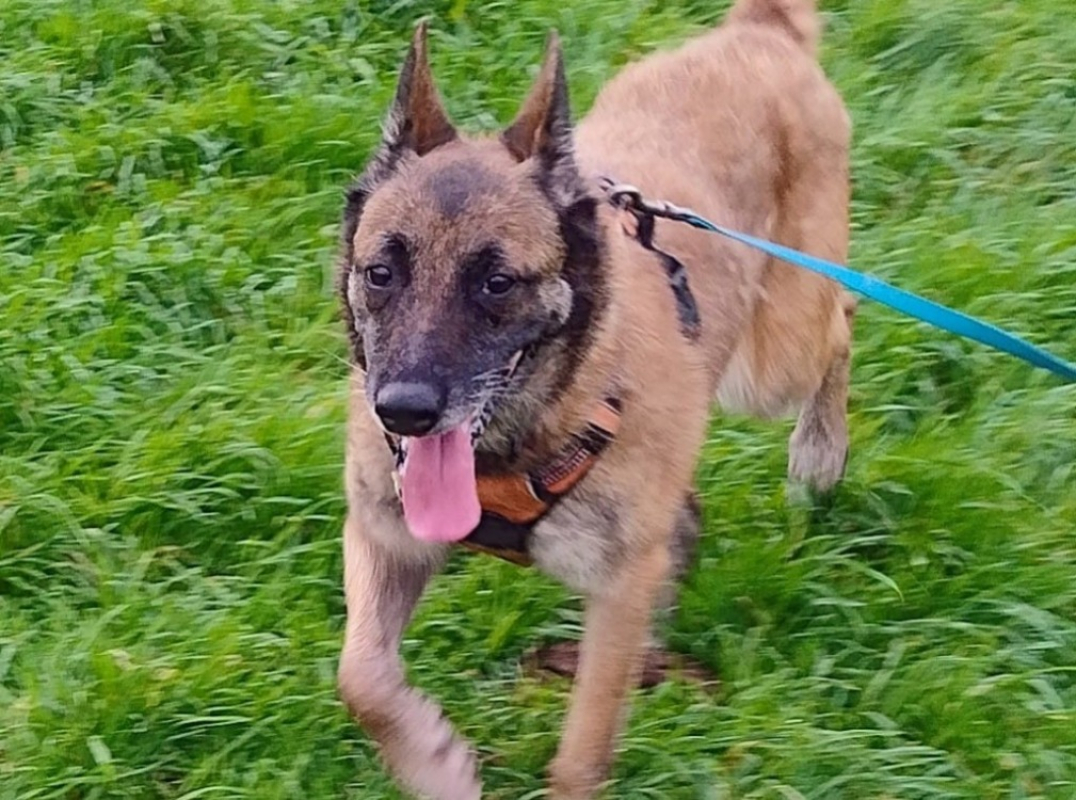 Photo #3 de Lola bunny