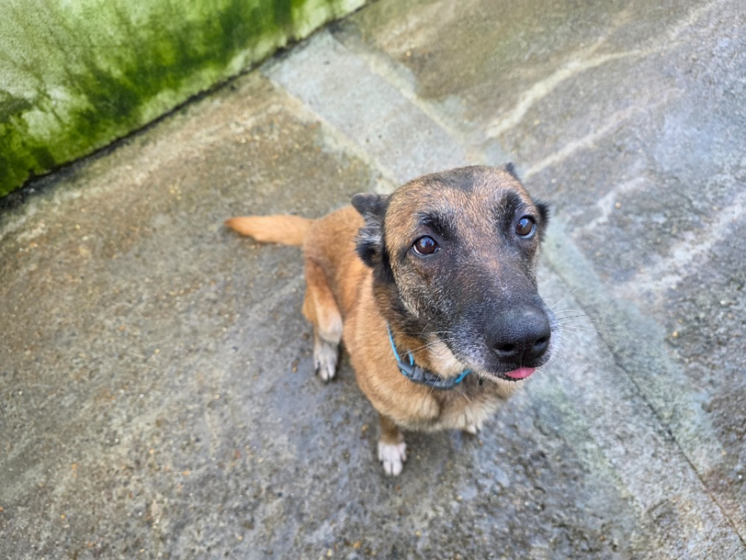 Photo #2 de Lola bunny