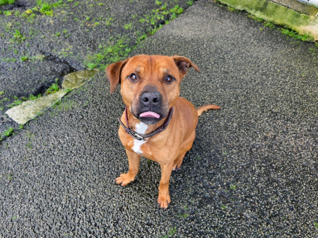 Photo #1 de Bugs bunny