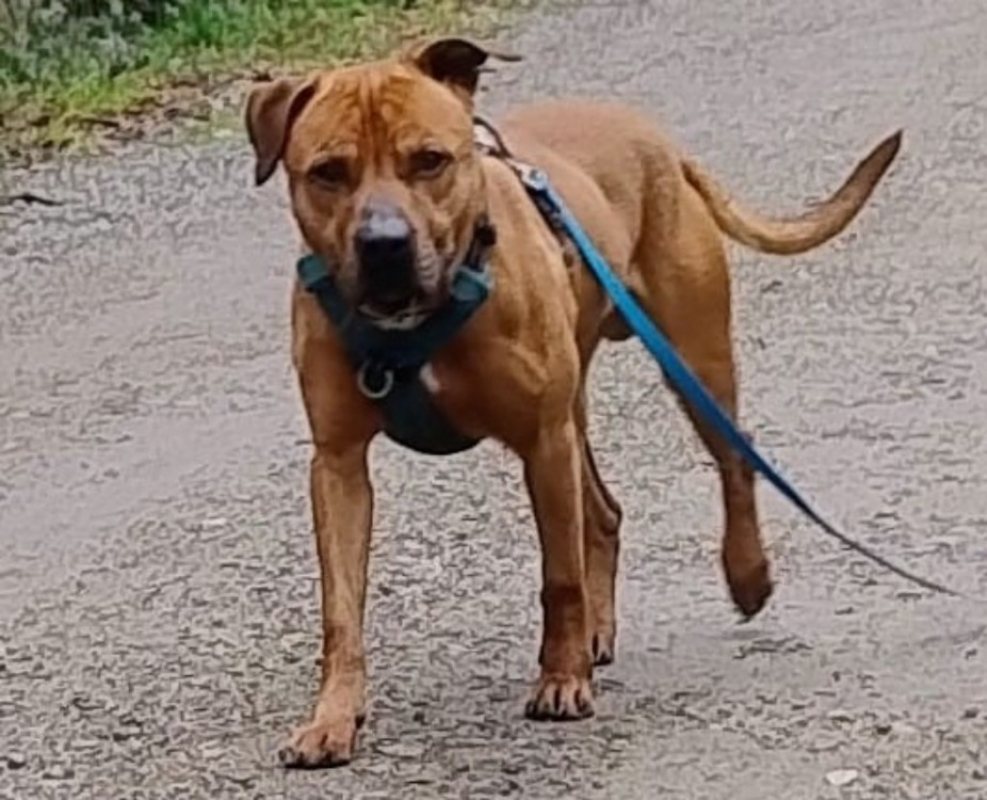 Photo #2 de Bugs bunny