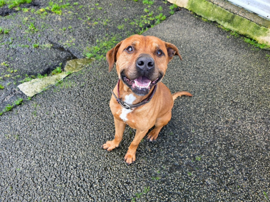 Photo #3 de Bugs bunny