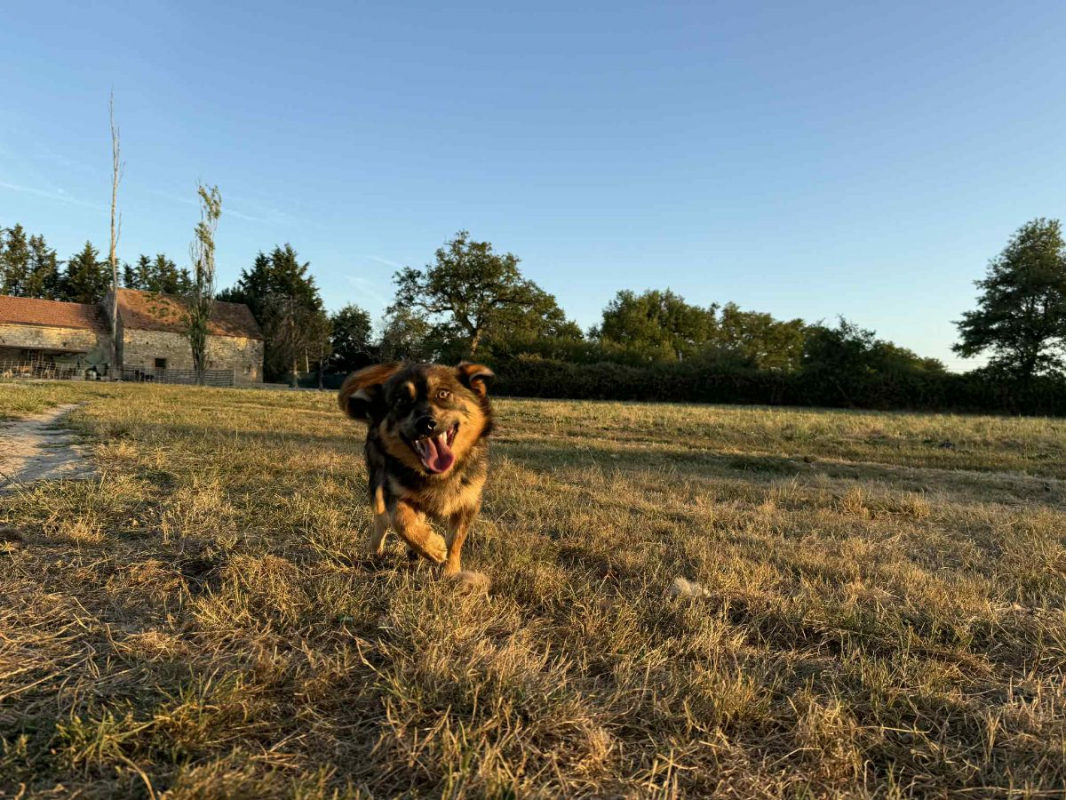 Photo #3 de Filou