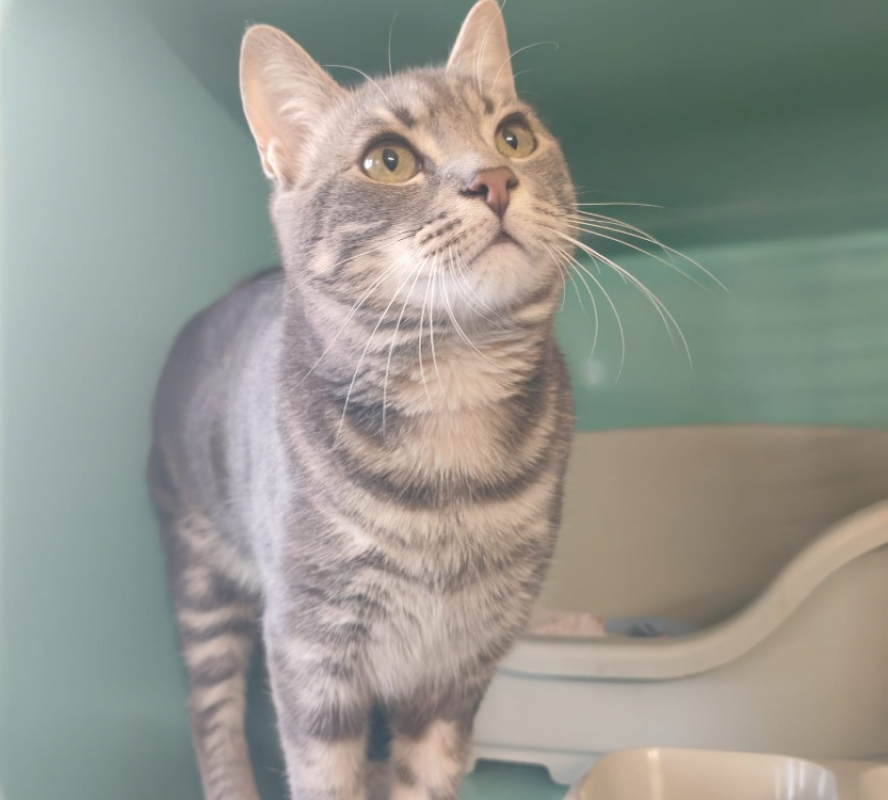 Photo de Melody divine