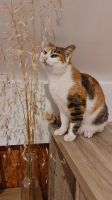 Image #0 d'illustration de l'association